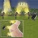 Master Craft St. Petersburg Solar Powered Outdoor Spotlight Set, 3 Lights