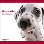 2009 Dalmatian ARTLIST Square Wall Calendar