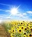 Summer in All His Beauty - 24