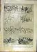 War-Horse Sketches Officer Blue-Cross Rspca Print 1916