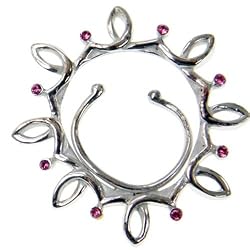 Fancy Nipple Clip with CZ