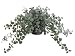 11 Creeping Fig Plant w/495 Lvs. in Paper Mache Pot Green Frosted (Pack of 4)
