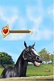 Horse Life