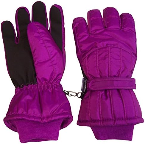 N'Ice Caps Adults Unisex Thinsulate and Waterproof Premier Colorblocked Ski Gloves (Women's Small/Medium, Neon Purple)