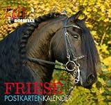 Produkt-Bild: Boiselle, G: Friese 2011. Postkartenkalender: Mit Aufsteller und Weihnachtskarte