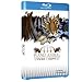 Die besten Blu-Rays