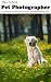 How To Be A Pet Photographer: Starting and Marketing Your Pet Photography Business