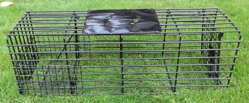 Freeshipping Heavy Duty Trap No Escape Raccoon -- 32"lx11"hx12"w