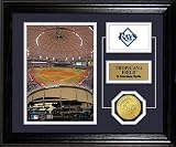 MLB Tampa Bay Devil Rays Tropicana Field Desktop Photo Mint
