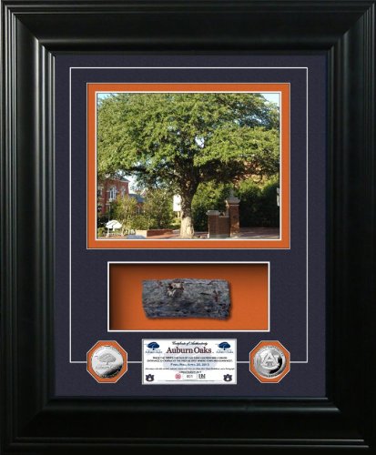 Auburn Oaks Authentic Oak "Marquee" Silver Coin Photo Mint at Amazon.com