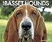 Just Basset Hounds 2015 Wall Calendar