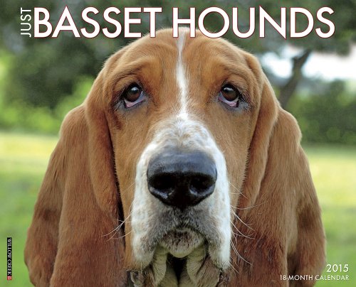 Just Basset Hounds 2015 Wall Calendar