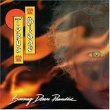 Tokyo Blade - Burning Down Paradise