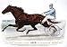 Champion trotting Queen, Alix, by patronage record, 2:07 3/4: Winner of the Columbian Exposition Purse ,000, at Washington Park, Chicago, Sept. 14th, 15th and 16th, 1893, winning the first heat in 2:07 3/4; Fourtheat in 2.1 3/4; and Ninth heat, 2:09 3/ (Reprint measured in inches 24 x 17)