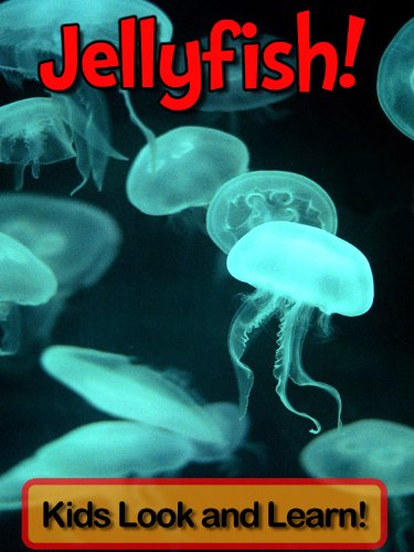 Jellyfish! Learn About Jellyfish and Enjoy Colorful Pictures - Look and Learn! (50+ Photos of Jellyfish)