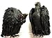 Season's Designs Halloween Decor Pair of Vultures