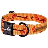 Eco-Lucks by Dublin Dog Eco-Friendly Dog Collar, Kimono, Large 18-26