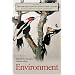 The New Encyclopedia of Southern Culture: Volume 8: Environment (v. 8)