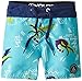 Volcom Little Boys' The Bird Boardshort