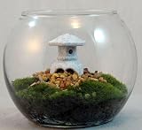 Tranquility Terrarium with Live Moss & Japanese Lantern Tranquility Terrarium with Live Moss & Japanese Lantern