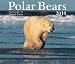 Polar Bears 2010 (Calendar)