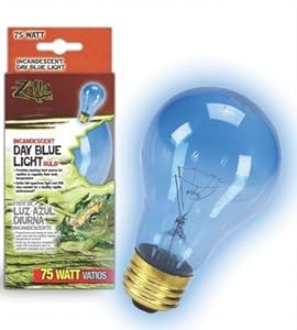 Bedroom Wall Light Fixtures