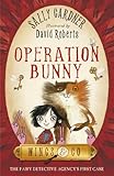 Operation bunny : the fairy detective agency's first case