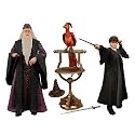 Harry Potter Harry and Dumbledore Year 2 Box Set