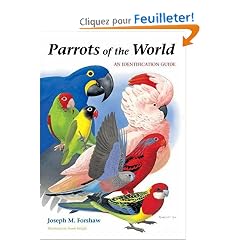 Parrots Of The World: An Identification Guide