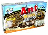 Wild Science Ant Mine