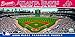 MasterPieces MLB Atlanta Braves Stadium Panoramic Jigsaw Puzzle, Turner Field , 1000 Pieces