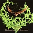 The Crackling of the Anonymous