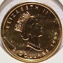 1/10 Ounce Canadian Gold Maple Leaf Coin