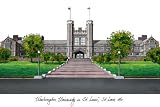 Washington St. Louis Bears Unframed Lithograph