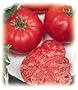 Watermelon Beefsteak Tomato 25 Seeds - Impressive!