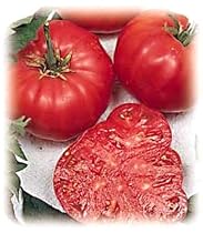 Watermelon Beefsteak Tomato 25 Seeds