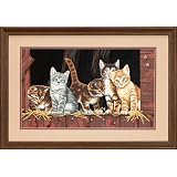 Barnyard Kittens PBN 20x10