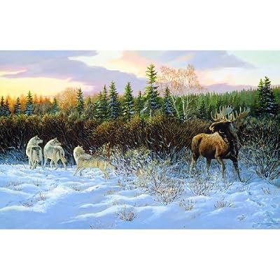 Second Thoughts 1000pc Jigsaw Puzzle by Persis Clayton Weirs
