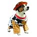 Woody Toy Story Halloween Pet Costume, Small, 8-11 lbs