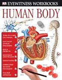 Human Body Workbook with Sticker (DK Eyewitness Books)