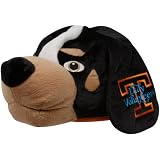 Tennessee Lady Vols Plush Smokey Adjustable Mascot Hat 51eq2sTmxaL. SL160 Tennessee Lady Vols Plush Smokey Adjustable Mascot Hat