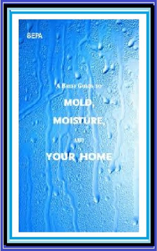 get rid of mold