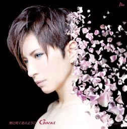 野に咲く花のように(初回限定盤)(DVD付)