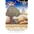 The Fionavar Tapestry: The Summer Tree Bk. 1