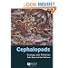 Cephalopods