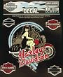 Harley-Davidson&reg; Decal, Veronica