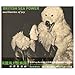 British Sea Power, Machineries Of Joy, 発売中