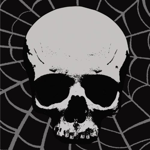 Creative Converting 18 Count Skull Terror Beverage Napkins