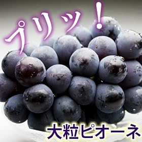 �O�c����́u�嗱�s�I�[�l�v�@1��3�[����