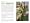 Veg Patch: River Cottage Handbook No.4